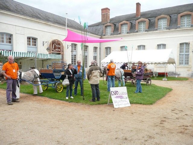 rodho 2013 (79).jpg